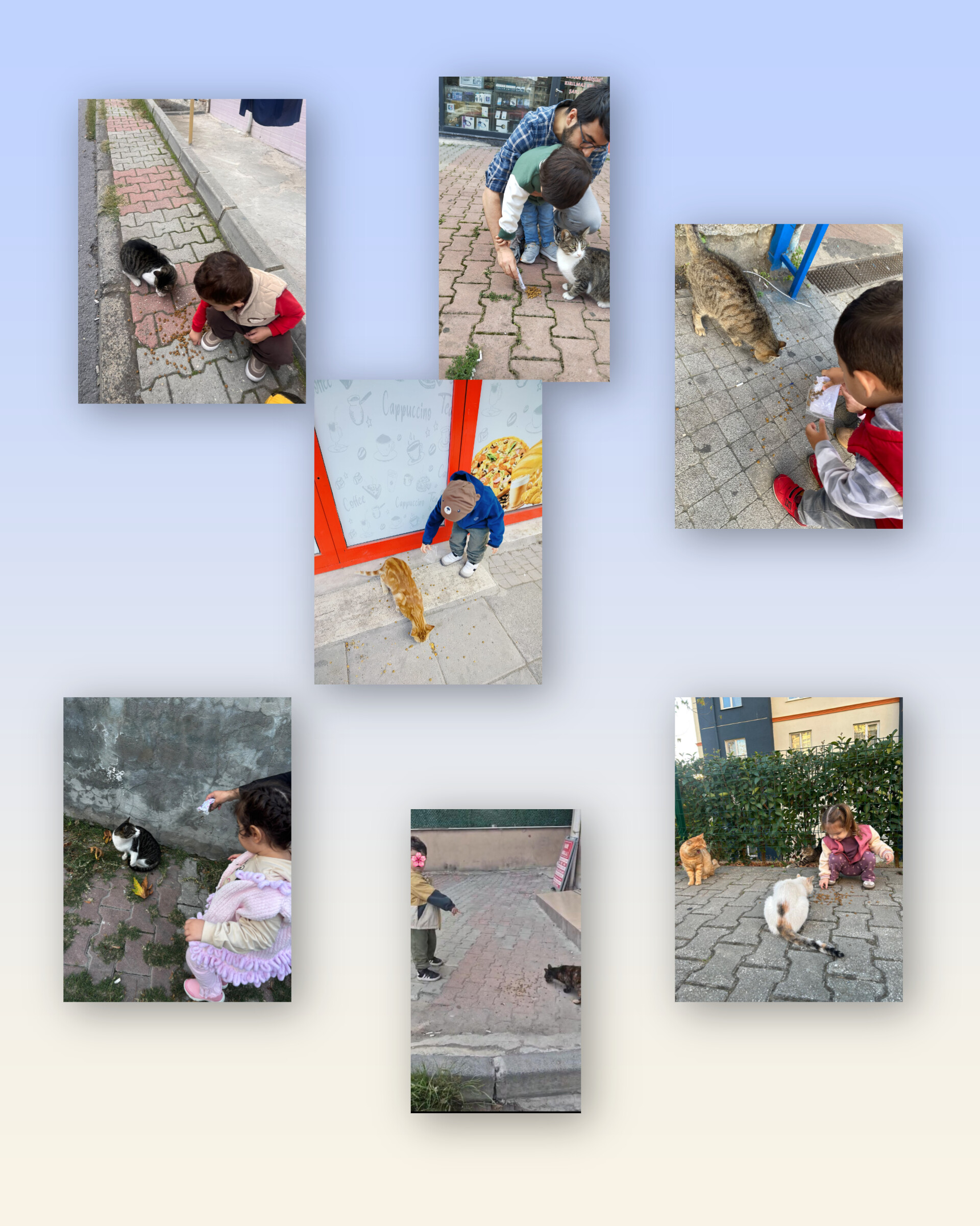 Hayvanları Koruma Haftası